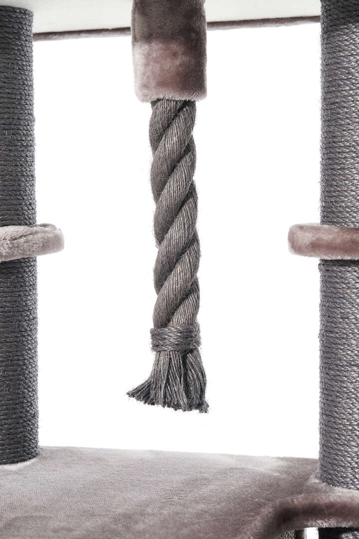 Nobby Kratzbaum Raya